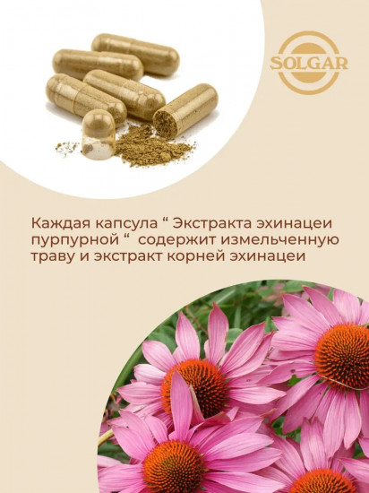 Капсулы «Echinacea. Экстракт эхинацеи пурпурной»
