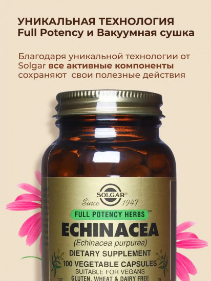 Капсулы «Echinacea. Экстракт эхинацеи пурпурной»