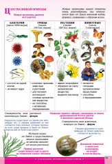 Учебный комплект «Атлас + контурная карта. Естествознание. 5 класс» - Фото 3