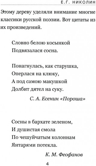 Тайны соснового леса