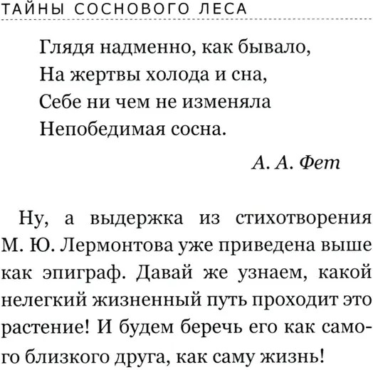 Тайны соснового леса