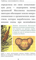 Тайны соснового леса - Фото 6