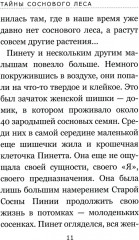 Тайны соснового леса - Фото 8