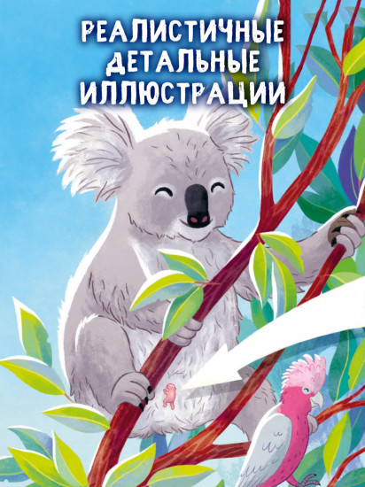 Маленький коала. Приключения в эвкалиптовом лесу