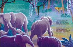 Малыш слонёнок. Приключения в Африке - Фото 9