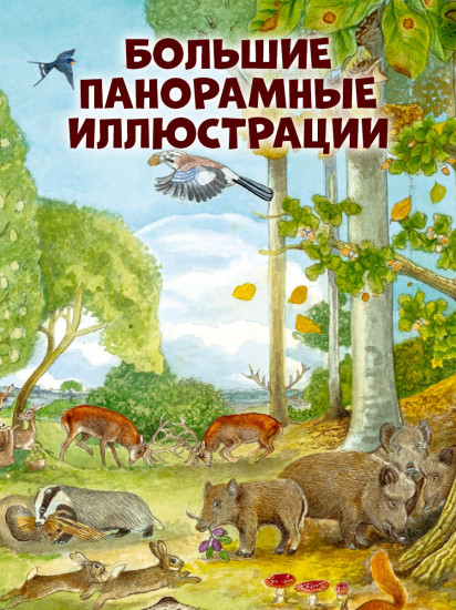 1000 животных. Найди и покажи