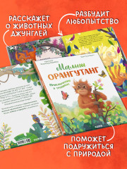 Малыш орангутанг. Приключения в тропиках - Фото 2