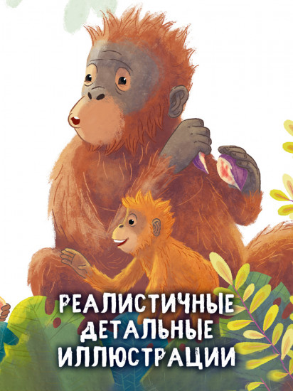 Малыш орангутанг. Приключения в тропиках