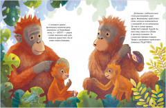 Малыш орангутанг. Приключения в тропиках - Фото 8