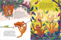 Малыш орангутанг. Приключения в тропиках - Фото 9