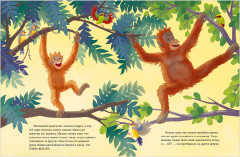 Малыш орангутанг. Приключения в тропиках - Фото 11