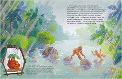 Малыш орангутанг. Приключения в тропиках - Фото 12