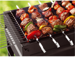 Мангал с термостенками стационарный - Фото 2