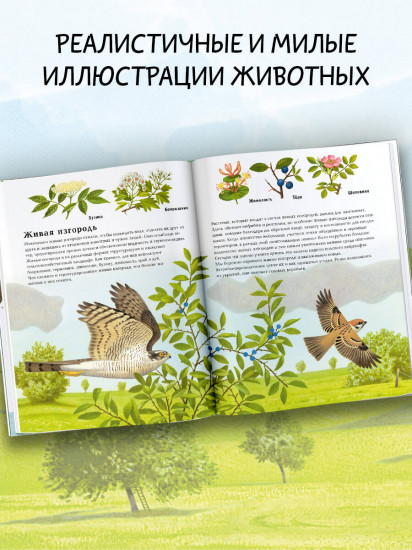 Животные рядом с нами