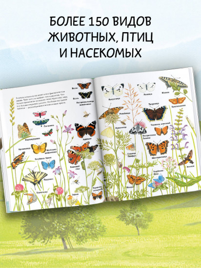 Животные рядом с нами