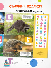 Говорящая азбука - Фото 7