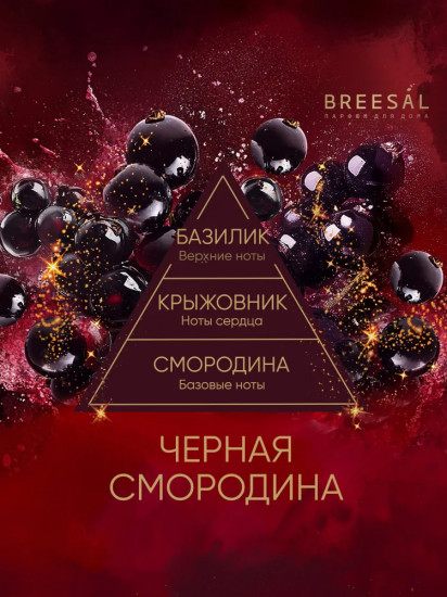 Диффузор ароматический «Черная смородина»