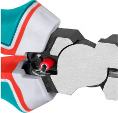 Длинногубцы - Фото 2