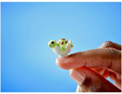 Конструктор Friends 42673 Семейный отдых на пляжном курорте. Family Vacation Beach Resort - Фото 4