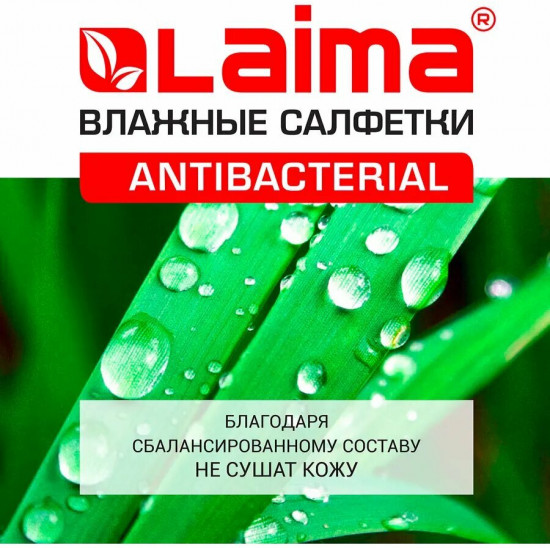 Салфетки влажные с экстрактом мяты «Antibacterial»