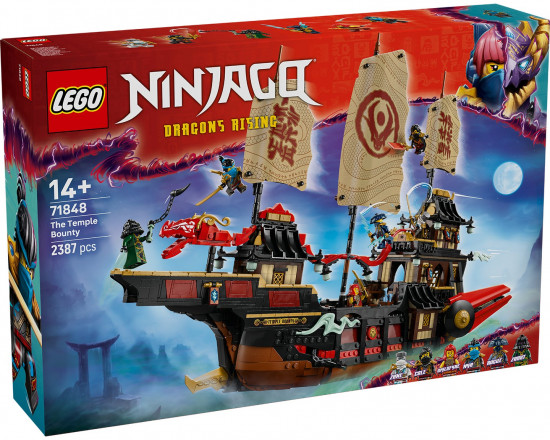Конструктор LEGO® 71848 «Дар храма»
