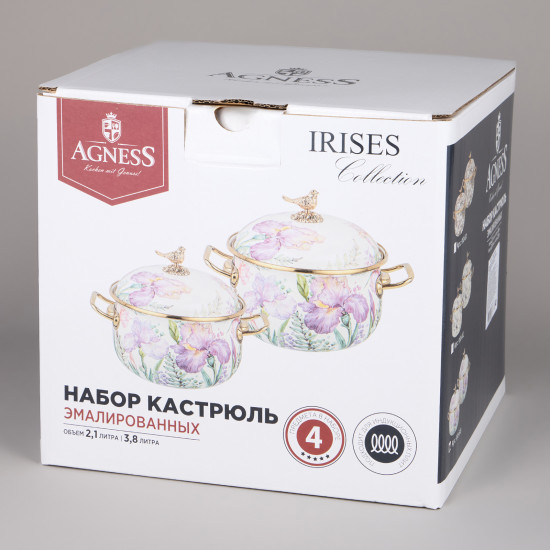 Набор кастрюль эмалированных с крышками «Irises»