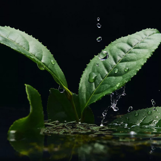 Парфюмированная вода «Infusion»