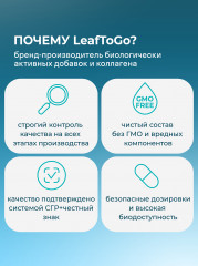 Витамины для глаз лютенин с маслом калины «Multi Vitamin For Vision» - Фото 6