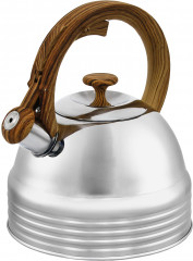 Чайник со свистком - Фото 1