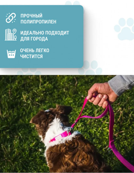 Поводок для собак