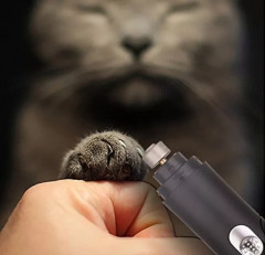 Гриндер для собак и кошек NG502 - Фото 2