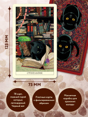 Таро чёрного кота - Фото 7