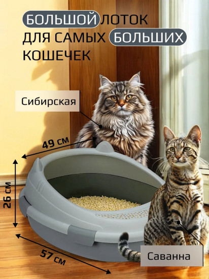 Лоток для кошек с совком