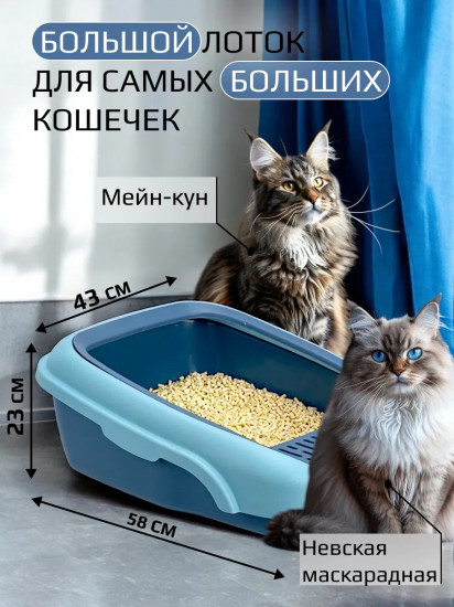 Лоток для кошек
