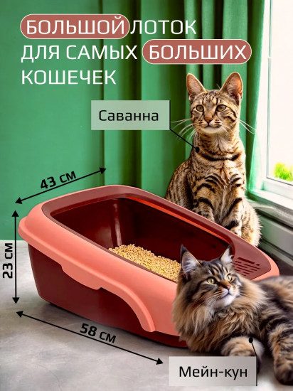 Лоток для кошек