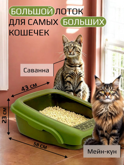 Лоток для кошек