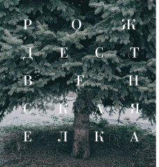 Желудь, рог и яблоко. Путеводитель в мир зелёного колдовства - Фото 8