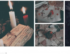 Желудь, рог и яблоко. Путеводитель в мир зелёного колдовства - Фото 13