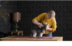 Машинка для стрижки животных 1400-0076 (1406-0076) - Фото 5