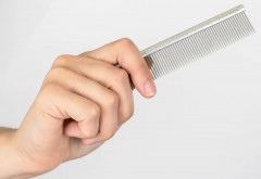 Гребень для кошек и собак - Фото 1