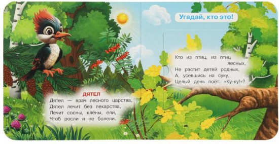 Книжка с окошками «Жители леса»