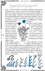 Викка. Книга теней - Фото 4
