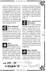 Викка. Книга теней - Фото 8