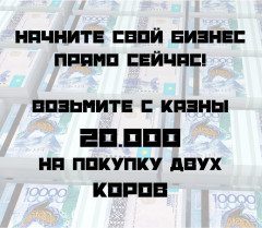 Монополия по-казахски «Операция Барановирус» - Фото 7