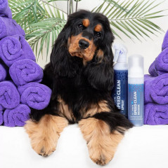 Шампунь-спрей для собак и кошек несмываемый «Speed Clean» - Фото 1