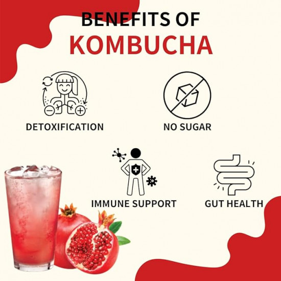 Освежающий напиток со вкусом граната «Daily Kombucha Pomegranate»
