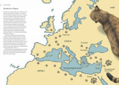 Как кошка приручила человека. История кошек и людей - Фото 2