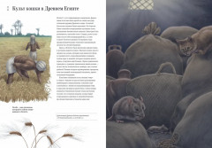 Как кошка приручила человека. История кошек и людей - Фото 4