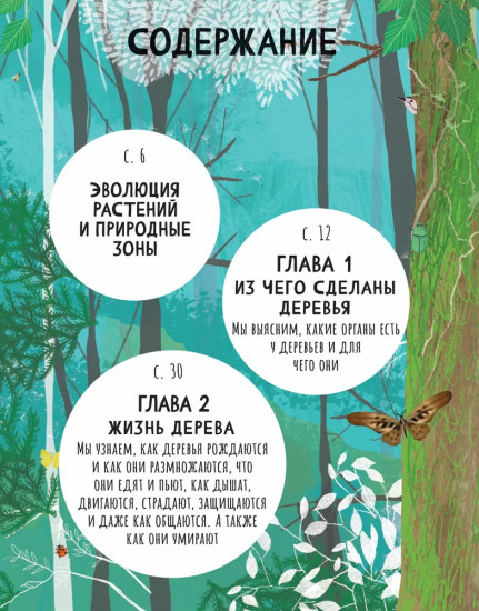 Тайны деревьев