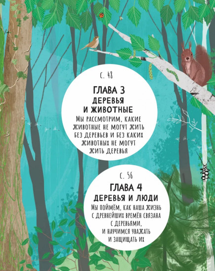 Тайны деревьев